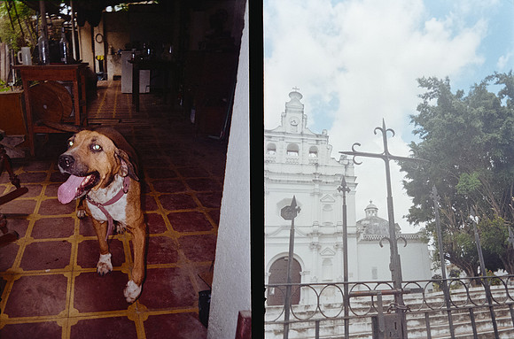 34 Sofía Castro - Kodak Gold 200 por Arca Film Lab (Febrero 2025) - Rollo 0725