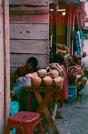 13 Jazmine Sousa - Cinestill 400D por Arca Film Lab (Febrero 2025) - Rollo 0866