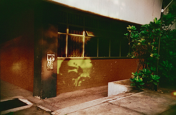 08 Elliot Morales - Harman Phoenix 200 por Arca Film Lab (Junio 2025) - Rollo 1108