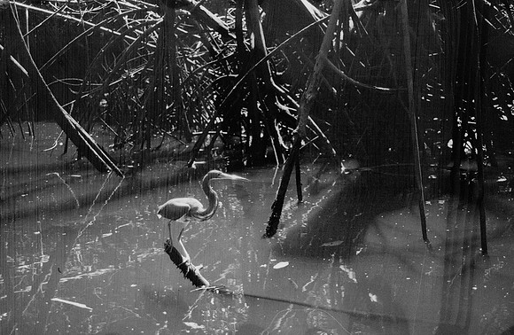 12 Guilia Trobbiani - Fomapan 100 por Arca Film Lab (Abril 2025) - Rollo 0933