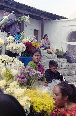 25 Jorge Iboy Kodak Gold por Arca Film Lab (Mayo 2024) - Rollo 0087