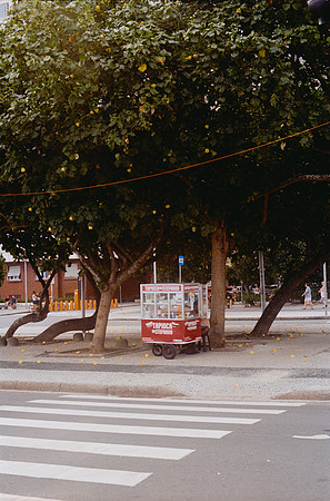 27 Daniel Dimitrakis - Kodak Ultramax 400 por Arca Film Lab (Enero 2025) - Rollo 0602