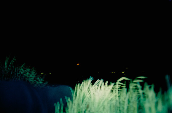 18 Durden - Cinestill 400D por Arca Film Lab (Enero 2025) - Rollo 0625