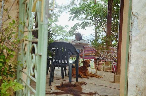 32 Javier Díaz - Kodak Gold 200 por Arca Film Lab (Febrero 2025) - Rollo 0722