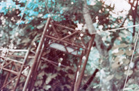 07 Jasmin Bouchard - Lomography Turquoise por Arca Film Lab (Octubre 2024) - Rollo 0403