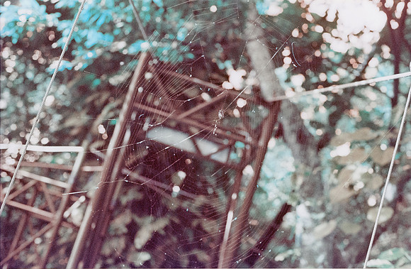 07 Jasmin Bouchard - Lomography Turquoise por Arca Film Lab (Octubre 2024) - Rollo 0403