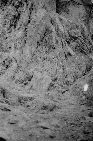 14 Rodrigo Bracamonte - Fujifilm Acros 100 por Arca Film Lab (Marzo 2025) - Rollo 0789