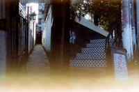 16 Francine Torón - Amber 200T - Arca Film Lab (Julio 2024) - Rollo 0139