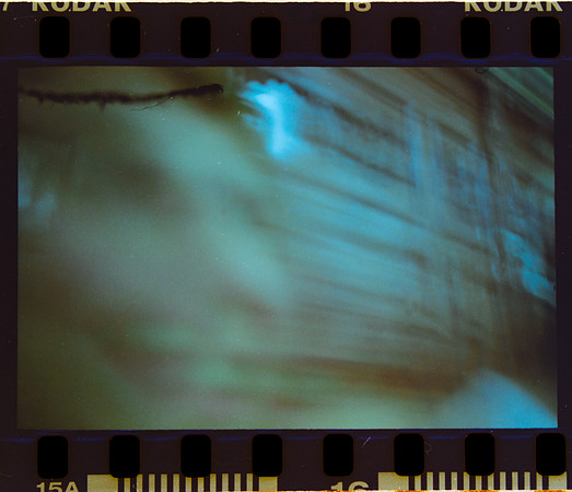 16 Constanza Close - Kodak Gold 200 por Arca Film Lab (Mayo 2024) - Rollo 0062