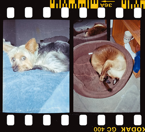 00040 Isa Valladares - Kodak Ultramax 400 - Arca Film Lab (Noviembre 2024) - Rollo 0431
