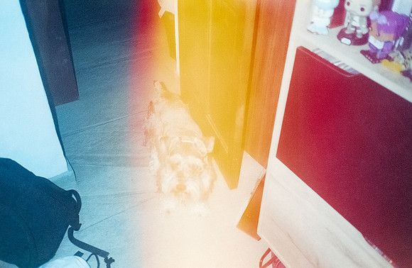 26 Mauricio Salguero - Kodak 800 por Arca Film Lab (Diciembre 2025) - Rollo 1606