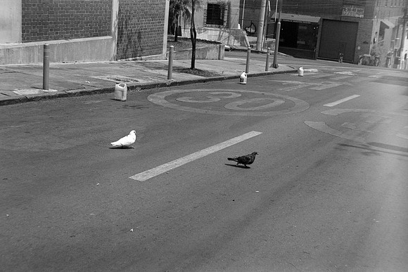 22 Iván Ortíz - Fomapan 100 Push 400 por Arca Film Lab (Abril 2024)