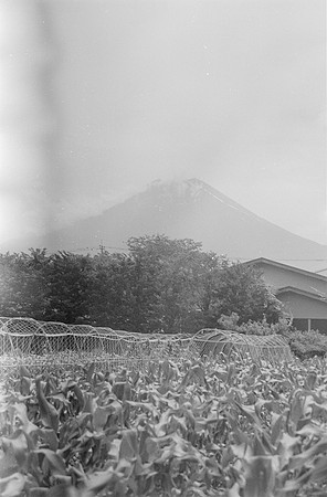 13 Javier Flores - Ilford HP5+ 400 por Arca Film Lab (Octubre 2024) - Rollo 0422