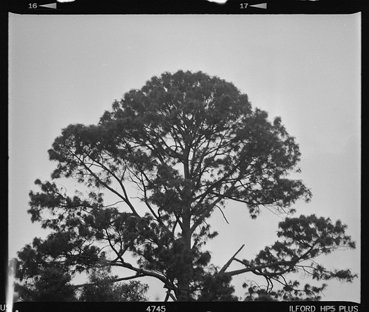 09 Mauricio Salguero - Ilford HP5+ 400 por Arca Film Lab (Febrero 2025) - Rollo 0731