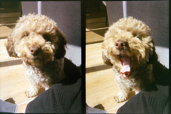 13 María Jimena Sánchez - Kodak Gold 200 por Arca Film Lab (Mayo 2024) - Rollo 0069