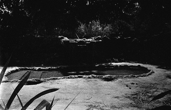 02 Alexia Citalán - Rollei 400 Infrared por Arca Film Lab (Septiembre 2024) - Rollo 0375