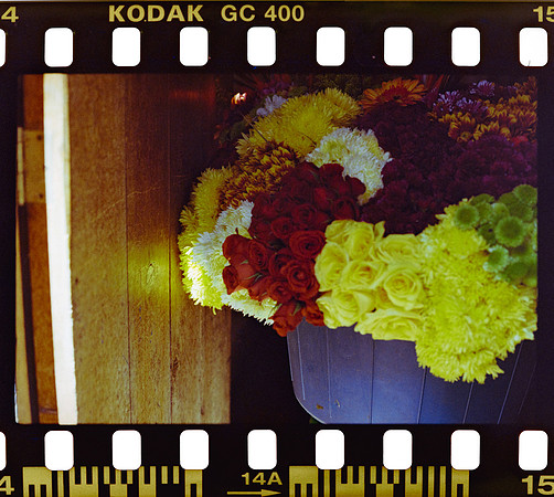 14 Yasemin Tocpan - Kodak Ultramax 400 por Arca Film Lab (Octubre 2024) - Rollo 0392