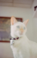 14 Abraham Castillo - Fujifilm 400 por Arca Film Lab (Junio 2025) - Rollo 1118