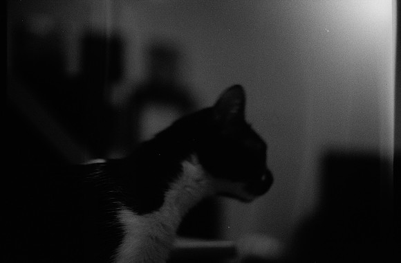 11 Nicolás Arnau - Ilford HP5+ 400 por Arca Film Lab (Marzo 2026) - Rollo 1881