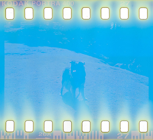 22 Omar Véliz - Kodak Portra 400 por Arca Film Lab (Agosto 2024) - Rollo 0300