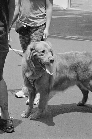 12 Carmen Tórres - Ilford HP5+ 400 por Arca Film Lab (Septiembre 2024) - Rollo 0334