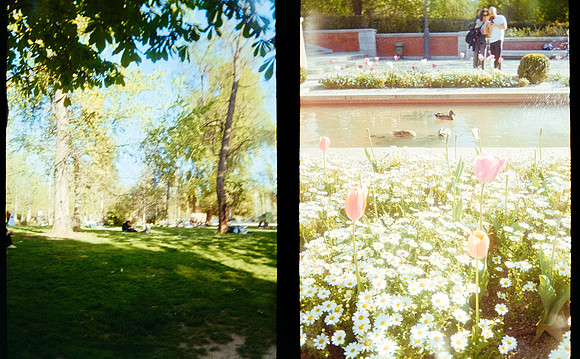 02 Jimena Sánchez - Kodak Ultramax 400 por Arca Film Lab (Mayo 2025) - Rollo 0992