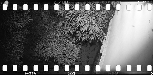 15 Mauricio Salguero - Kentmere Pan 400 por Arca Film Lab (Junio 2025) - Rollo 1132