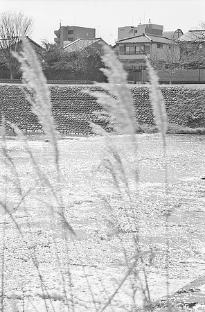 05 Loren Giordano - Ilford XP2 400 por Arca Film Lab (Mayo 2025) - Rollo 1073