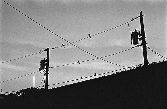 12 Christian Arriola - Kodak 400TX por Arca Film Lab (Junio 2024) - Rollo 0096