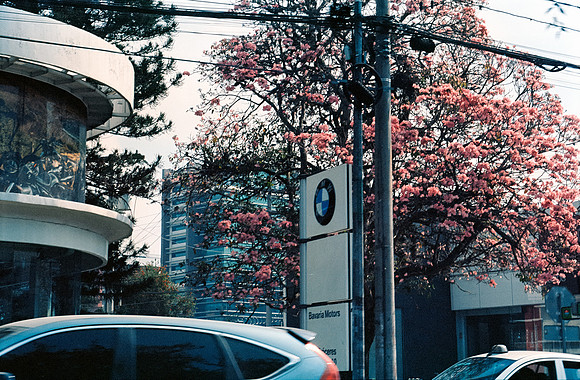 18 Francisco Chang - Kodak Ektar 100 por Arca Film Lab (Junio 2024) - Rollo 0127