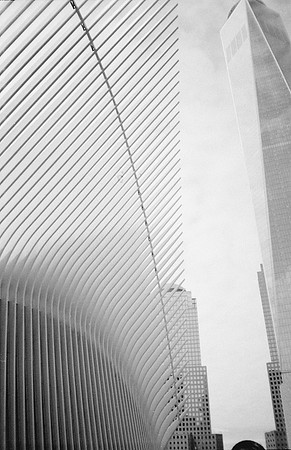 24 Desirée Argueta - Fujifilm Acros 100 por Arca Film Lab (Enero 2025) - Rollo 0571