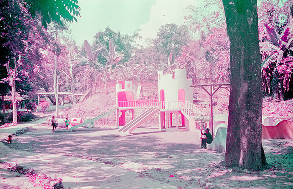 12 Natalia Mendoza - Lomography Purple por Arca Film Lab (Mayo 2025) - Rollo 1019
