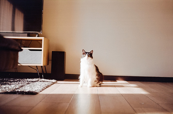 13 Ralph Sosa - Kodak Gold 200 por Arca Film Lab (Octubre 2024) - Rollo 0420