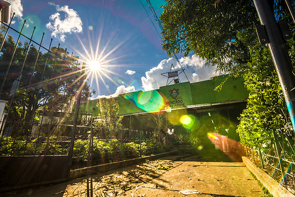 Open the gates to a colorful world