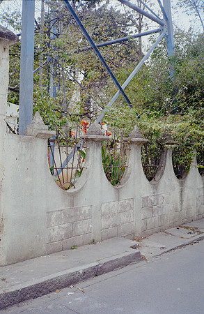 38 David Santiago - Kodak Gold 200 por Arca Film Lab (Enero 2025) - Rollo 0702