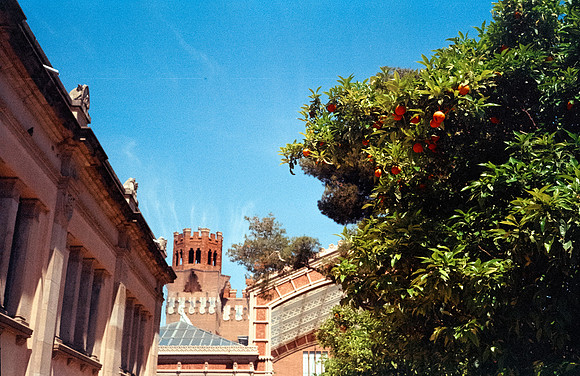 16 Rodrigo Lorenz - Kodak Gold 200 por Arca Film Lab (Julio 2024) - Rollo 0142