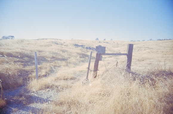 19 Rafael Ortíz - Fujifilm 400 por Arca Film Lab (Diciembre 2024) - Rollo 0521