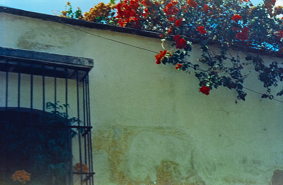 12 Rafael Peyré - Cute Color New York 400 por Arca Film Lab (Junio 2025) - Rollo 1102