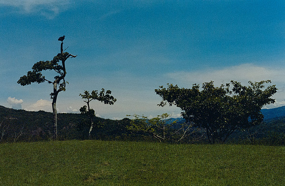 24 Ricardo Rodas - Kodak Portra 400 por Arca Film Lab (Enero 2025) - Rollo 0655