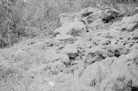 21 Rodrigo Bracamonte - Fujifilm Acros 100 por Arca Film Lab (Marzo 2025) - Rollo 0789
