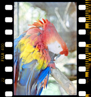 0353 Erick Sandoval - Fujifilm 400 - Arca Film Lab (Septiembre 2024)