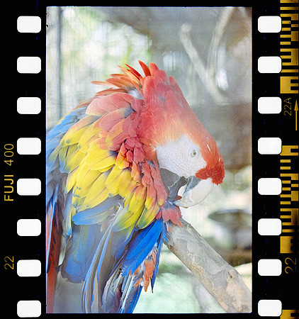 23 Erick Sandoval - Fujifilm 400 por Arca Film Lab (Septiembre 2024) - Rollo 0353