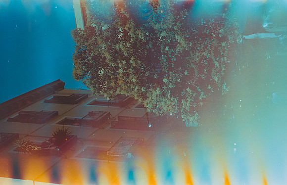 10 Kamilah Ruíz - Kodak Portra 400 por Arca Film Lab (Agosto 2024)
