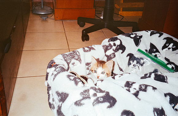 13 Lucía Paíz - Kodak Gold 200 - Arca Film Lab (Octubre 2024) - Rollo 0380