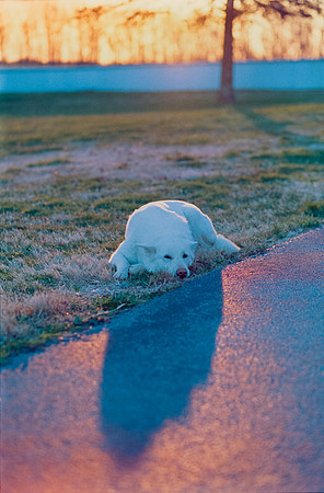 15 Todd Morales - Fujifilm Pro400H por Arca Film Lab (Agosto 2024) - Rollo 0225