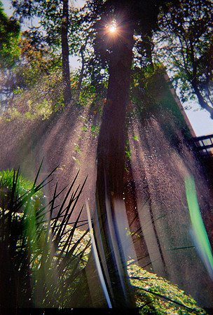 04 Rayos de sol y Biblioteca Ludwid Von Mises, Universidad Francisco Marroquín - Rollo #1 - Fujifilm Superia Xtra 400 - Cámara Desechable por Fabriccio Díaz