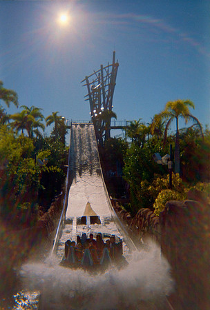 14 Sea World, Orlando, Florida - Rollo #1 - Fujifilm Superia Xtra 400 - Cámara Desechable por Fabriccio Díaz