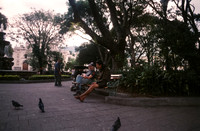 09 Alexander Daum - Kodak Ektachrome 100 por Arca Film Lab (Enero 2025) - Rollo 0634