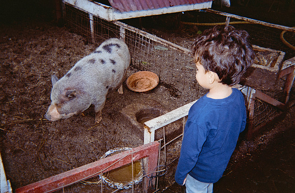 10 Adriana González - Fujifilm 400 por Arca Film Lab (Mayo 2025) - Rollo 1021