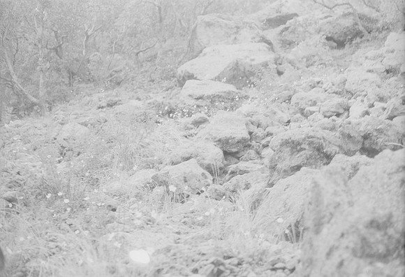 22 Rodrigo Bracamonte - Fujifilm Acros 100 por Arca Film Lab (Marzo 2025) - Rollo 0789